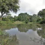 Spend some time in the wildlife-viewing hide, strategically positioned overlooking a nearby waterhole. 