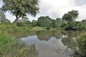 Spend some time in the wildlife-viewing hide, strategically positioned overlooking a nearby waterhole. 
