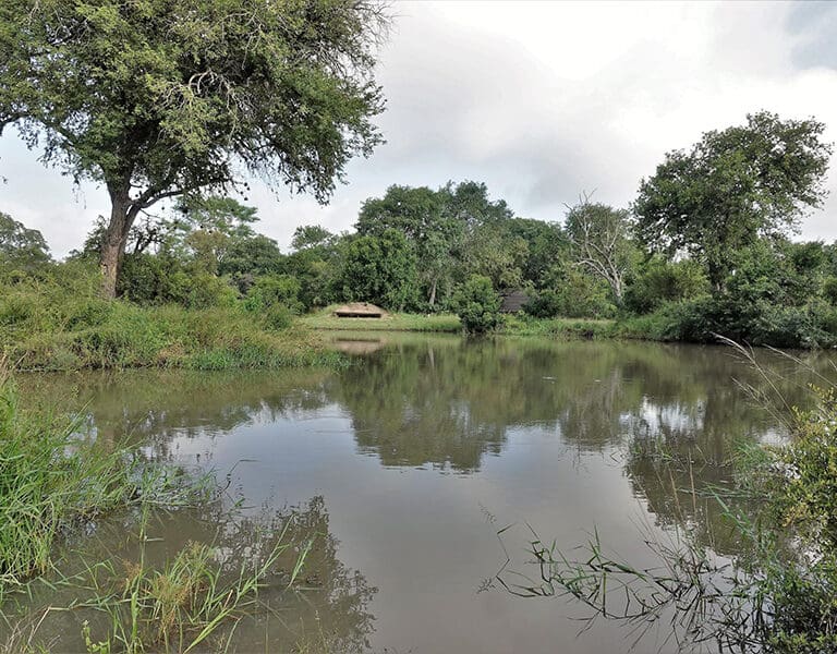 Spend some time in the wildlife-viewing hide, strategically positioned overlooking a nearby waterhole. 