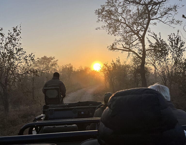 Sunrise game drives get you out in the reserve while animals are active in the cooler morning hours.