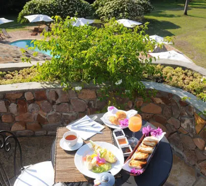 Breakfast with a view.