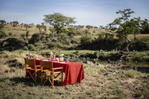 Bush breakfasts are a highlight.