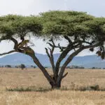 Avistamientos únicos de fauna y flora.