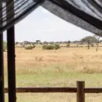 La vista desde su Tented Suite.