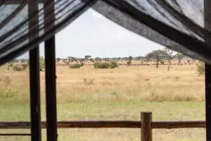 The view from your Tented Suite.