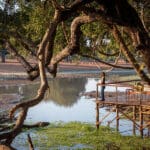 A stunning view from the deck of the camp.