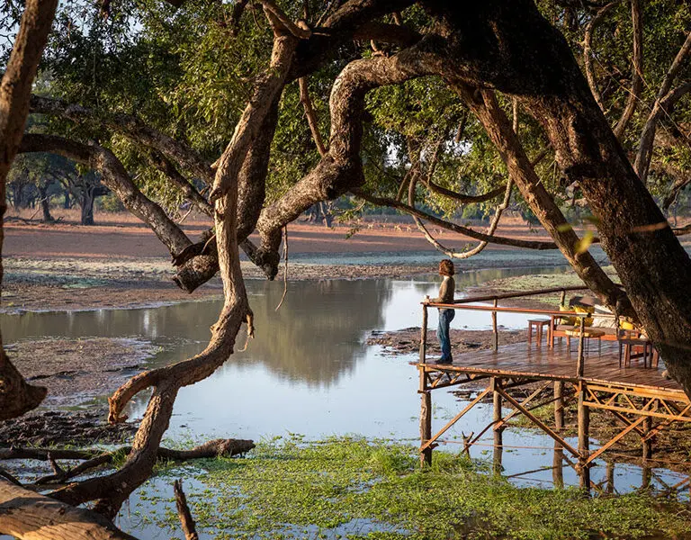 A stunning view from the deck of the camp.