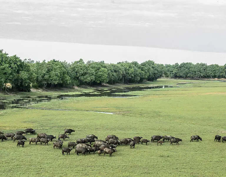 Set right in the heart of the wilderness. 