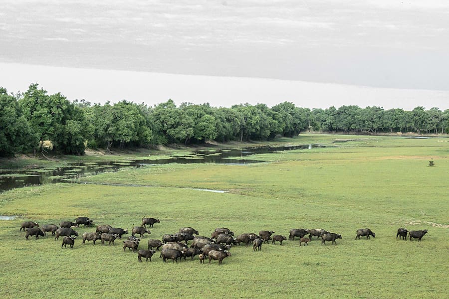 Set right in the heart of the wilderness. 