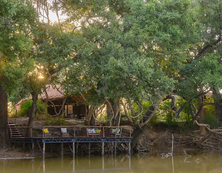 Right in the thick of it | Big Lagoon Camp