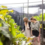 Cocina ecológica y de la granja a la mesa.