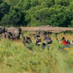 Los safaris son una de las actividades más destacadas, ya que permiten acercarse a los habitantes salvajes de los Masai.