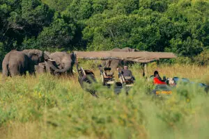 Game drives are a highlight, getting you closer to the wild inhabitants of the Masai. 