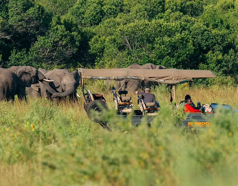 Game drives are a highlight, getting you closer to the wild inhabitants of the Masai. 