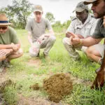 Learn about the intricacies of the landscape and its wild inhabitants. 