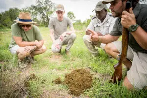 Learn about the intricacies of the landscape and its wild inhabitants. 