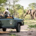 Exceptional wildlife encounters. 