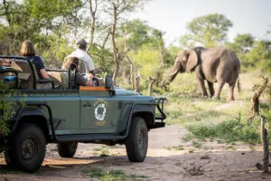 Exceptional wildlife encounters. 
