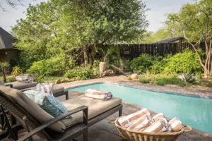 When you aren't searching for the Big Five, have a dip in the swimming pool. 