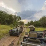 Expert guides and trackers ensure you get the best experience while at Thornybush Game Lodge.