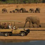 Game drives occur twice daily, once in the early morning and again at sunset. 