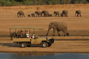 Game drives occur twice daily, once in the early morning and again at sunset. 