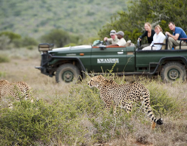 reserva de caza privada great-fish-river-lodge_kwandwe