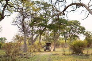 karangoma-activity-game-drive