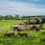 Specialist guides will share their in-depth knowledge about the landscape. 