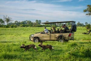Specialist guides will share their in-depth knowledge about the landscape. 