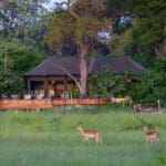 Karangoma, Botswana, Okavango Delta. 