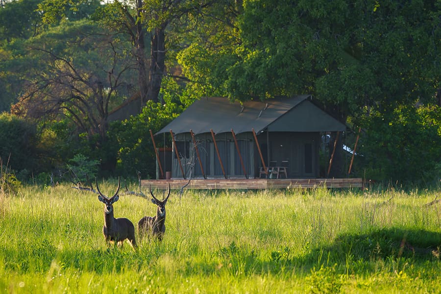 karangoma-camp-tent-exterior