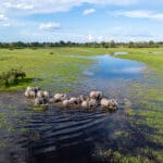 Fantastic wildlife sightings. 