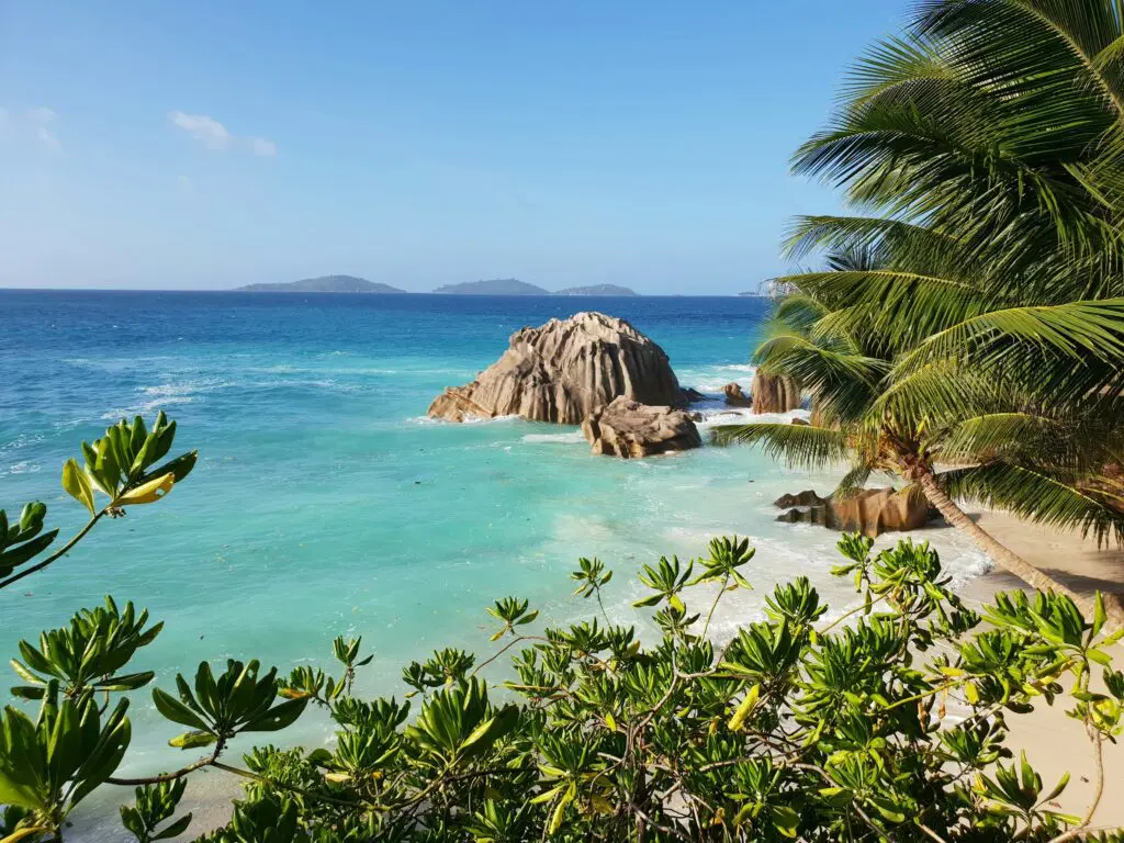La Digue, Seychelles Beach and Palm Trees