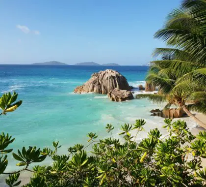 La Digue, Seychelles Playa y palmeras