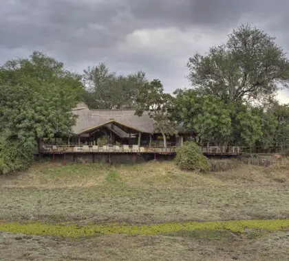 An exterior view of Lion Camp. 