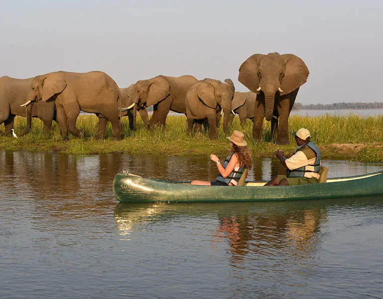 Canoe safaris are a fun and unique way to encounter wildlife and explore offshore. 
