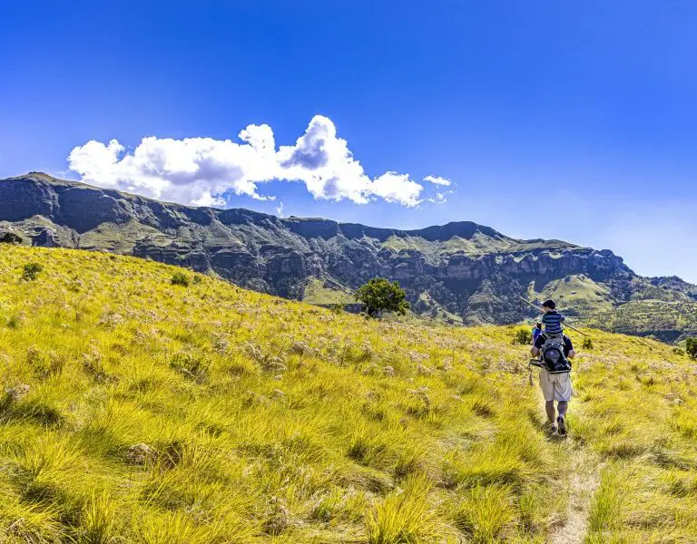 Experience the beauty of the Drakensberg on hiking trails of varying difficulty.