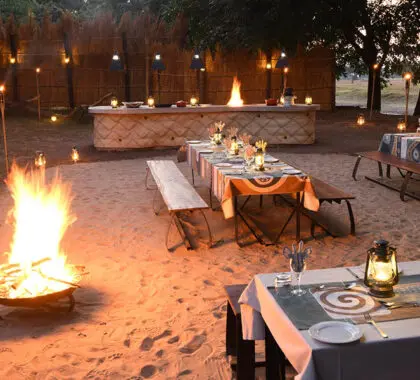 Boma dinners are a true highlight when on safari. 
