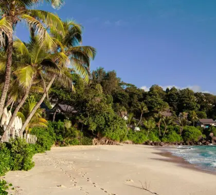 Hotel Carana Beach.