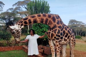 Alimentando jirafas en la Mansión de las Jirafas en Kenia.