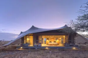 Stay in luxurious tented safari accommodation. 