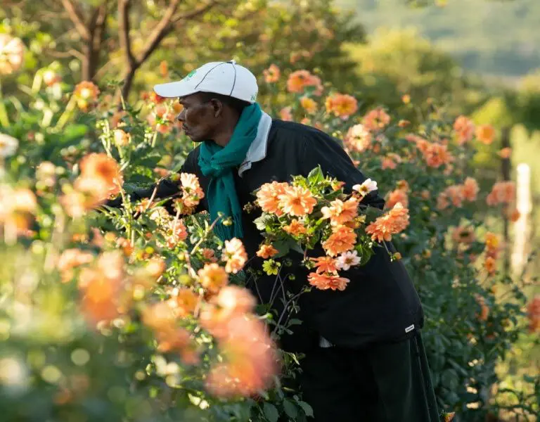 Immerse yourself in the beautiful gardens for flower picking and arranging.