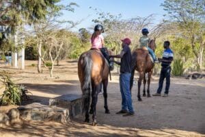 Los más pequeños disfrutarán montando a caballo en la granja. 