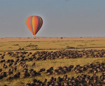 Viva la migración desde un globo aerostático. 