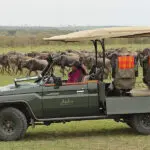 You can arrange specialist photography safaris. 