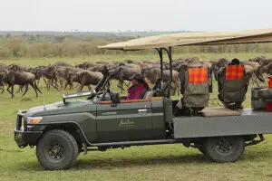 You can arrange specialist photography safaris. 