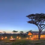 Evenings spent under the African sky | Serengeti Under Canvas 