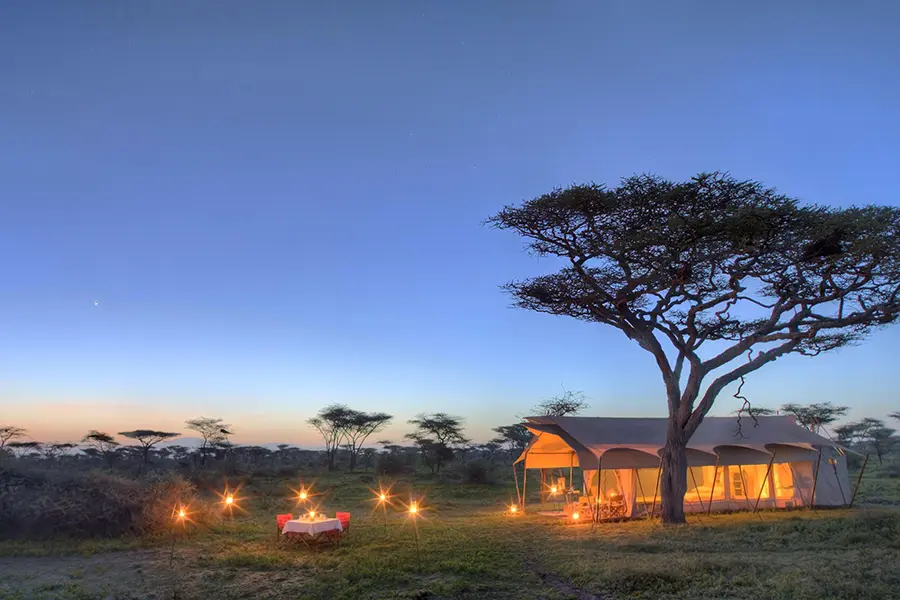 Una tienda de campaña y una pequeña mesa en la sabana al atardecer con pequeñas luces que crean un cálido resplandor | Go2Africa