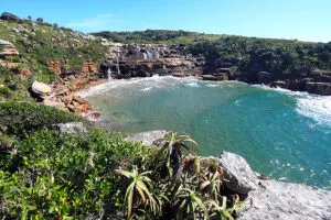 Visit Mkambati Falls. 